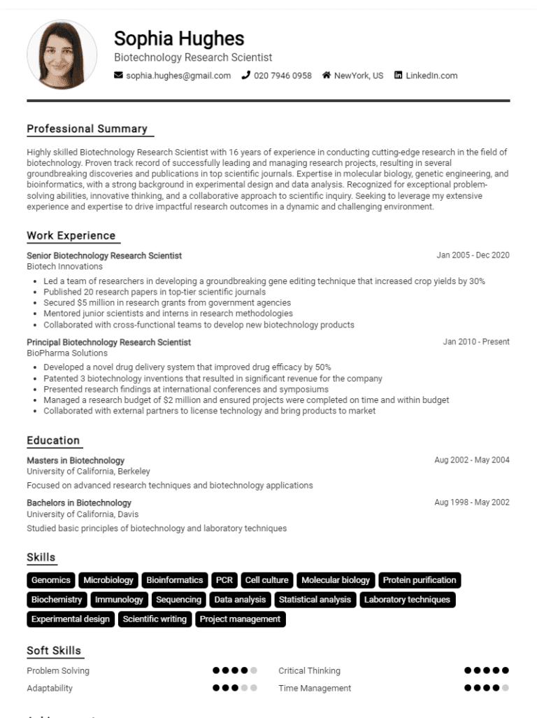 Executive maritime CV template